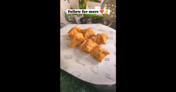 Flaky Samosa Recipe - Delicious Homemade Snack