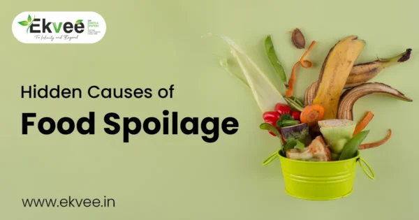 Hidden Causes of Food Spoilage