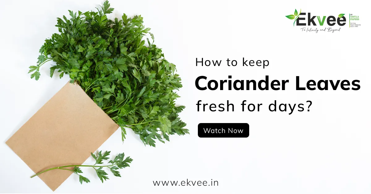 How to keep coriander leaves fresh for days?